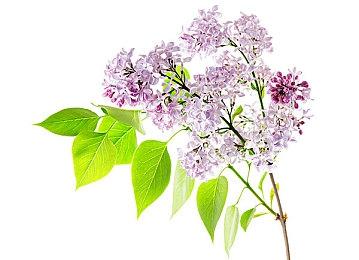 任天堂有望继续更新《健身环大冒险》追加内容